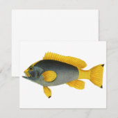 青と黄色のグーフィー魚、ヴィンテージ海洋生物 (正面/裏面)