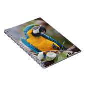 青と黄色のコンゴウインコのノート ノートブック (右側)