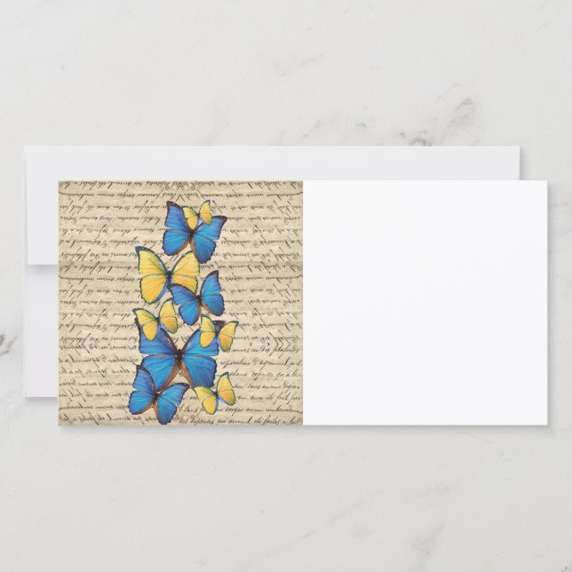 青と黄色のバテバエ (正面)