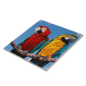 青と黄色のマカオと緋色のマカオ タイル (側面)