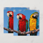 青と黄色のマカオと緋色のマカオ 招待状 (正面/裏面)