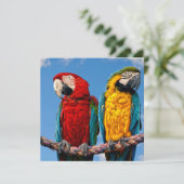 青と黄色のマカオと緋色のマカオ 招待状 (スタンド正面)