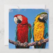 青と黄色のマカオと緋色のマカオ 招待状 (裏面)