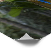 青と黄色のマカオのポスター ポスター (角)