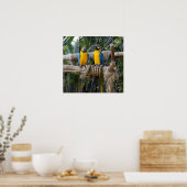 青と黄色のマカオのポスター ポスター (キッチン)