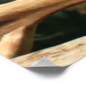 青と黄色のマカオのポスター ポスター (角)