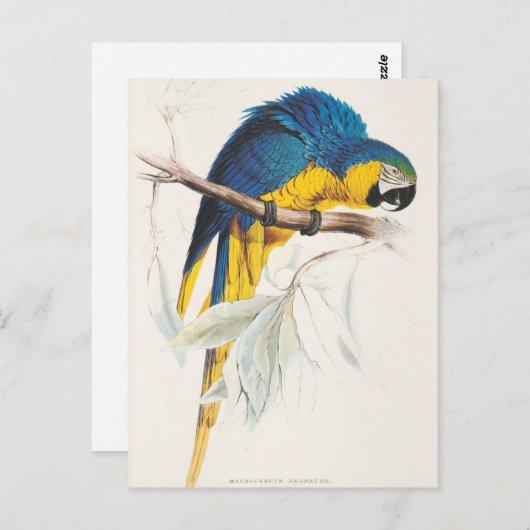 青と黄色のマカオのポストカード ポストカード (正面/裏面)