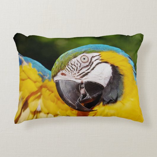 青と黄色のマカオの頭 アクセントクッション (正面)