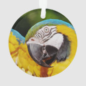 青と黄色のマカオの頭 オーナメント (裏面)