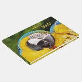 青と黄色のマカオの頭 ゲストブック (コーナー)