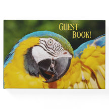 青と黄色のマカオの頭