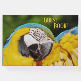 青と黄色のマカオの頭 ゲストブック