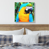 青と黄色のマカオパロット キャンバスプリント (インサイチュ (寝室))