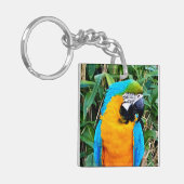 青と黄色のマカオパロット キーホルダー (正面左)