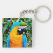 青と黄色のマカオパロット キーホルダー (裏面)