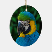 青と黄色のマカオパロット セラミックオーナメント (右)