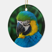 青と黄色のマカオパロット セラミックオーナメント (左)