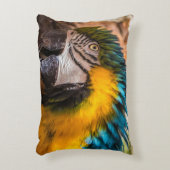 青と黄色のマカオポートレート アクセントクッション (正面(垂直))