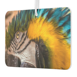 青と黄色のマカオポートレート カーエアーフレッシュナー