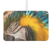 青と黄色のマカオポートレート カーエアーフレッシュナー (正面)