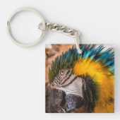 青と黄色のマカオポートレート キーホルダー (正面)