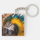 青と黄色のマカオポートレート キーホルダー (裏面)