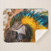 青と黄色のマカオポートレート シェルパブランケット (正面(横))