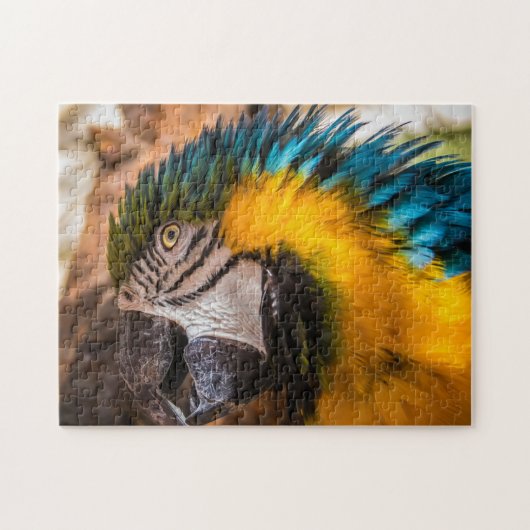 青と黄色のマカオポートレート ジグソーパズル (横)