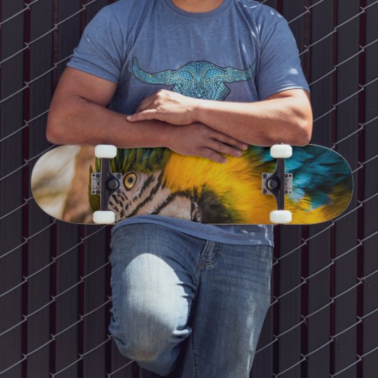 青と黄色のマカオポートレート スケートボード (室外3)