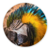 青と黄色のマカオポートレート セラミックノブ (正面)