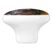 青と黄色のマカオポートレート セラミックノブ (側面)