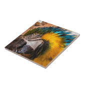 青と黄色のマカオポートレート タイル (側面)