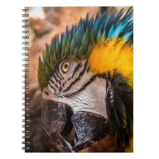 青と黄色のマカオポートレート ノートブック (正面)