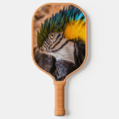 青と黄色のマカオポートレート ピックルボールラケット (正面)