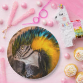 青と黄色のマカオポートレート ペーパープレート (パーティー)