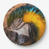 青と黄色のマカオポートレート ペーパープレート (正面)