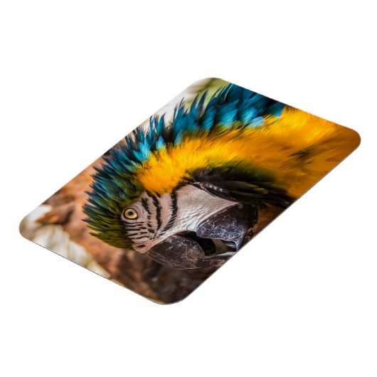 青と黄色のマカオポートレート マグネット (左側)