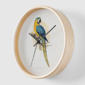 青と黄色のマカオ（アラルーナ） 壁時計 (傾斜)