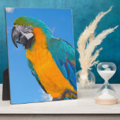 青と黄色のマカオ フォトプラーク (側面)