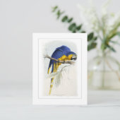 青と黄色のマカオ ポストカード (スタンド正面)