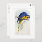 青と黄色のマカオ ポストカード (正面/裏面)