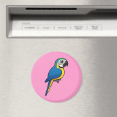 青と黄色のマカオ マグネット (インサイチュ (食洗機))