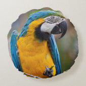 青と黄色のマコー枕 ラウンドクッション (裏面)