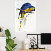 青と黄色のマコー ポスター (ホームオフィス)