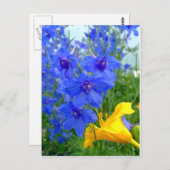 青と黄色の花 ポストカード (正面/裏面)