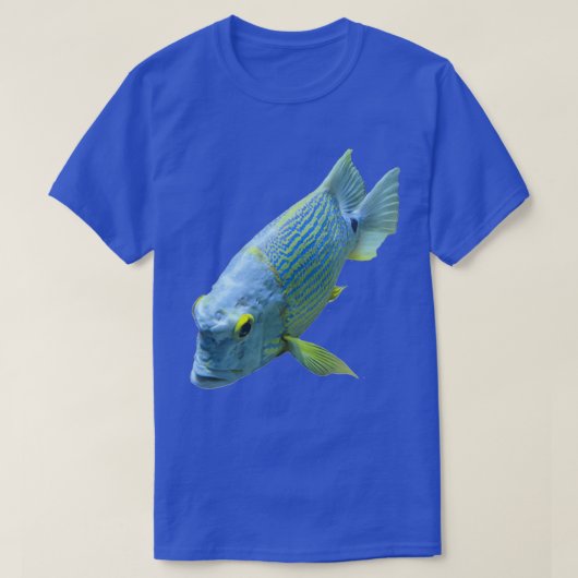 青と黄色の魚 Tシャツ (デザイン正面)