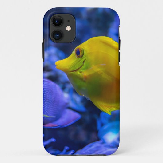 青と黄色の2つの美しい魚 Case-Mate iPhoneケース (裏面)