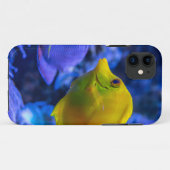 青と黄色の2つの美しい魚 Case-Mate iPhoneケース (裏面(横))