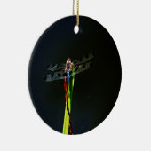 青と黒のトンボが緑と赤の草の上に セラミックオーナメント (右)