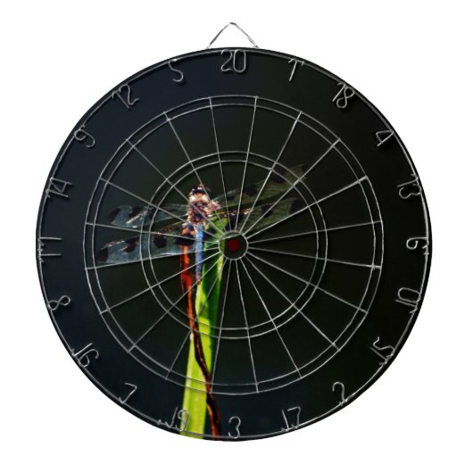 青と黒のトンボが緑と赤の草の上に ダーツボード (正面)